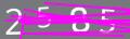 capsa